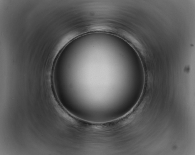 X0000101481330200807141406