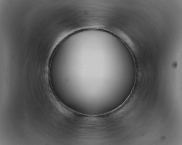 X0000101481332200807141406