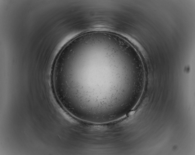 X0000101481333200807141406