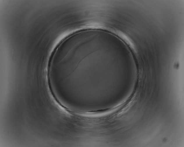 X0000101481334200807141406