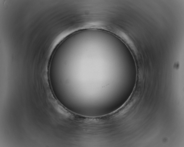 X0000101481336200807141406
