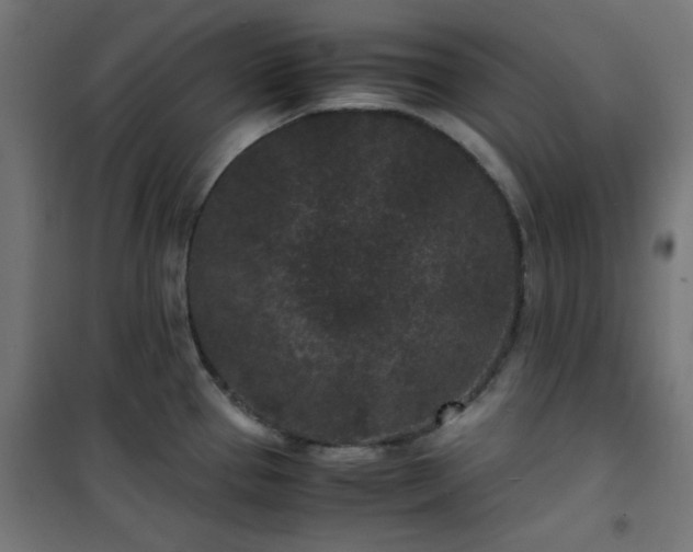 X0000101481337200807141406