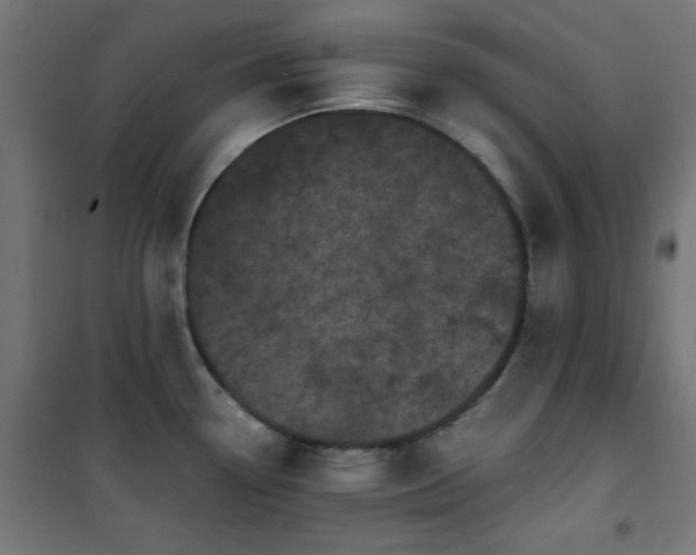 X0000101481338200807141406