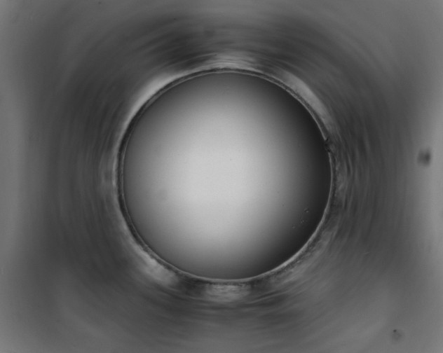 X0000101481339200807141406