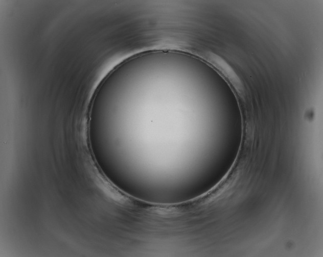 X0000101481340200807141406