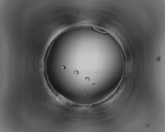 X0000101481341200807141406