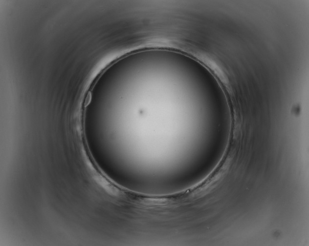 X0000101481342200807141406