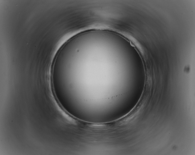 X0000101481343200807141406