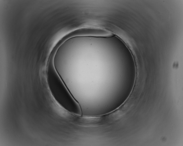 X0000101481344200807141406