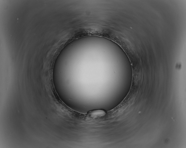 X0000101481345200807141405