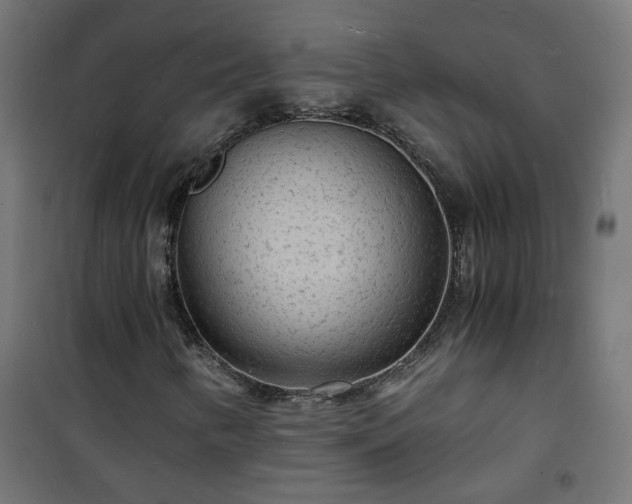 X0000101481346200807141405