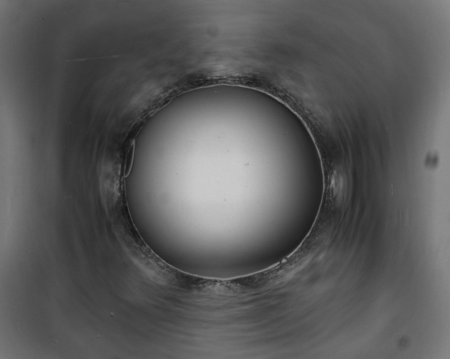 X0000101481348200807141405