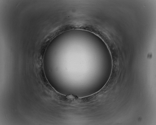 X0000101481349200807141405