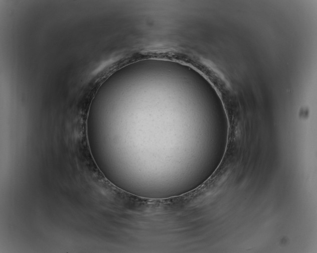 X0000101481350200807141405