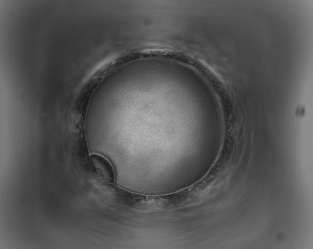 X0000101481351200807141405