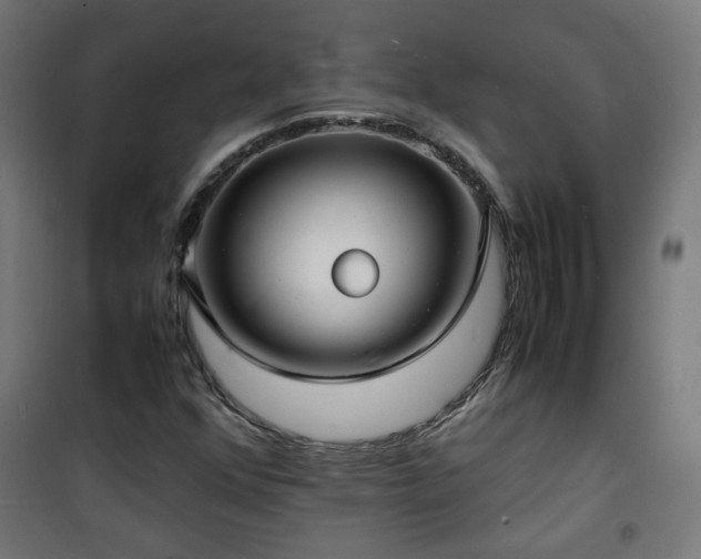 X0000101481352200807141405