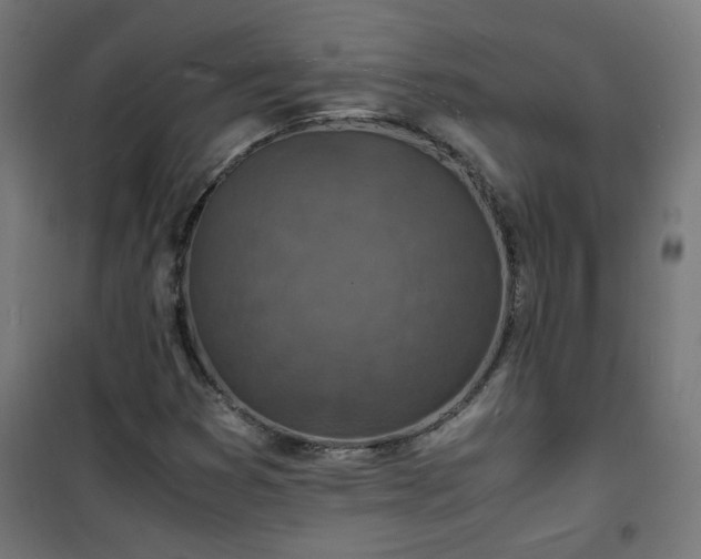 X0000101481353200807141405