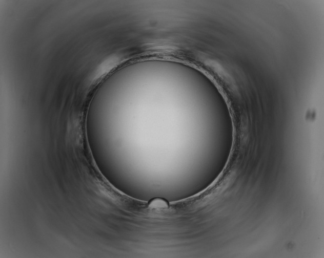X0000101481354200807141405