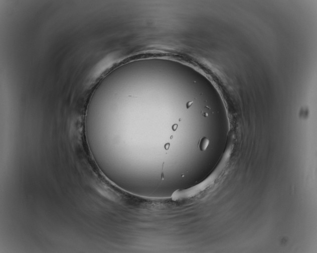 X0000101481355200807141405
