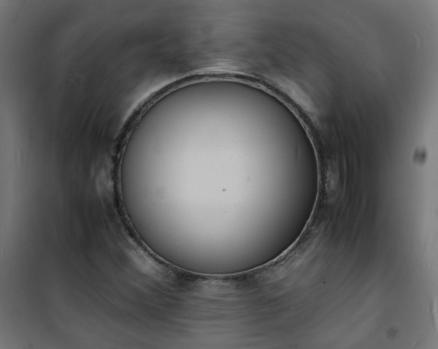 X0000101481356200807141405