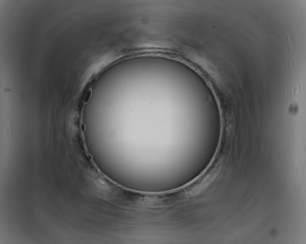 X0000101481357200807141405