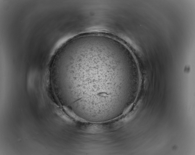 X0000101481358200807141405