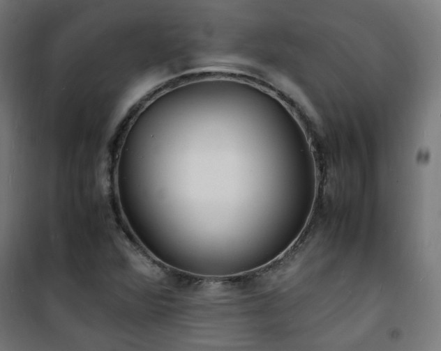 X0000101481360200807141405