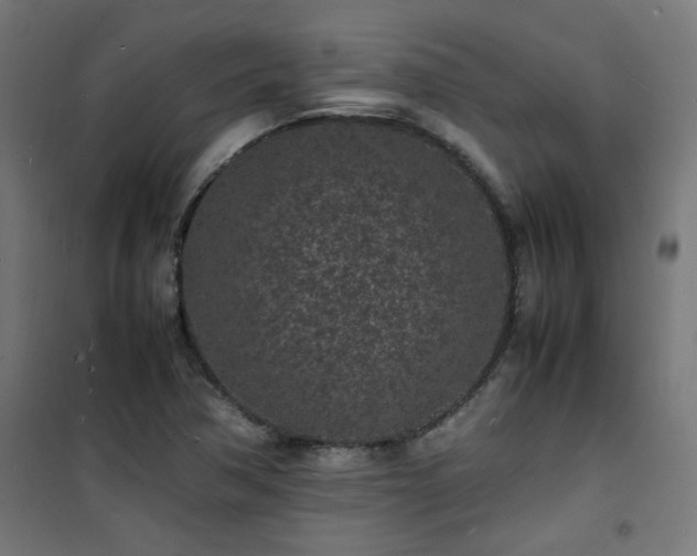 X0000101481362200807141405