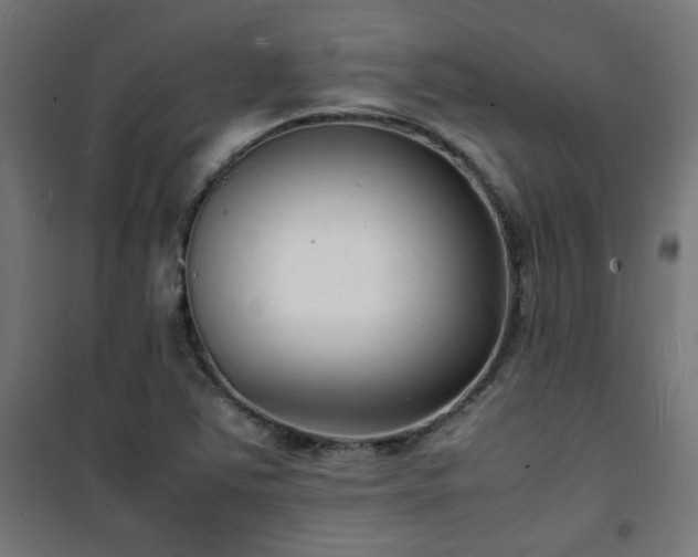 X0000101481363200807141405