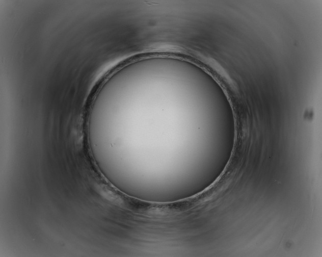 X0000101481364200807141405
