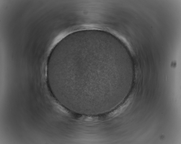 X0000101481365200807141405