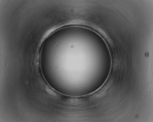 X0000101481366200807141405