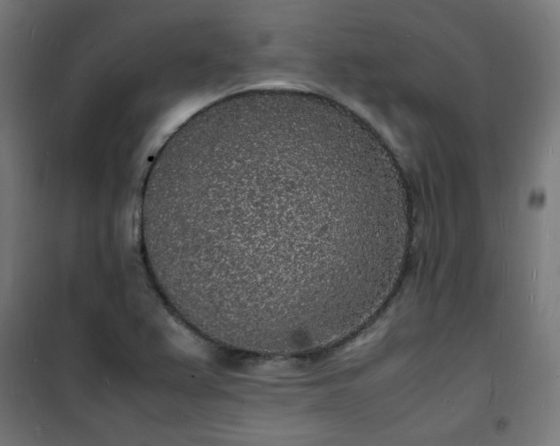 X0000101481367200807141405