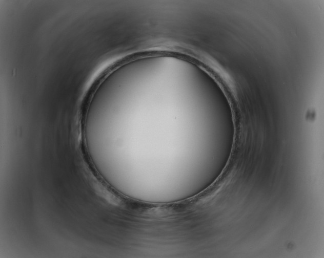 X0000101481368200807141405