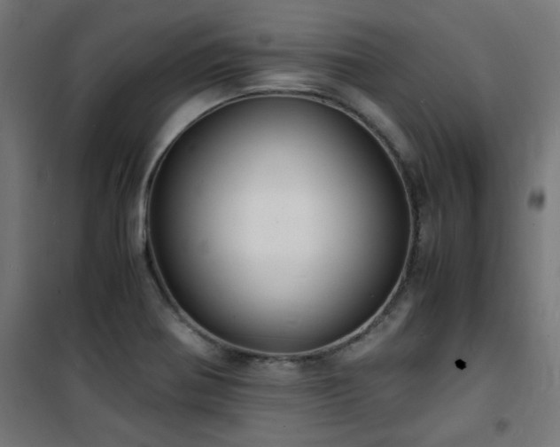 X0000101481370200807141405
