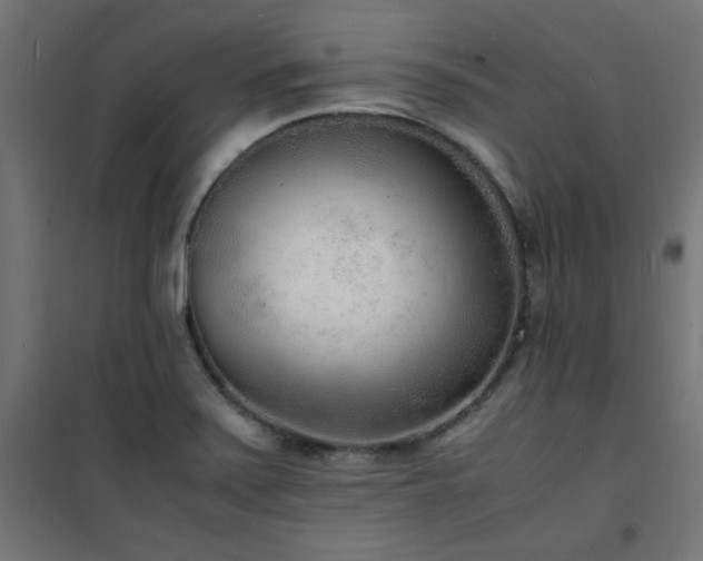 X0000101481371200807141405