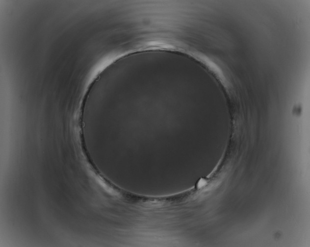 X0000101481373200807141405