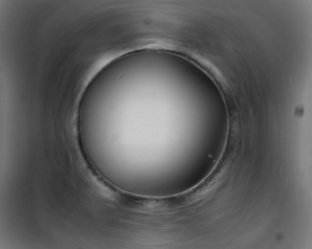 X0000101481375200807141405
