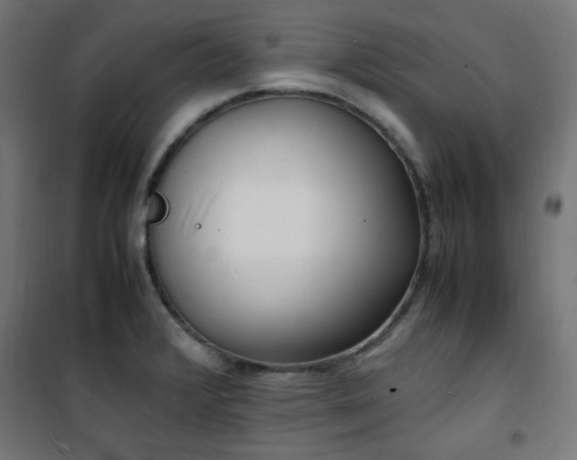 X0000101481376200807141405
