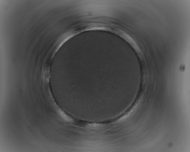 X0000101481377200807141405