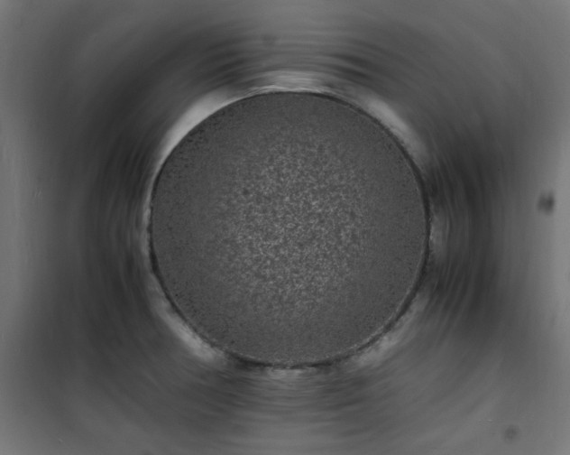 X0000101481378200807141405