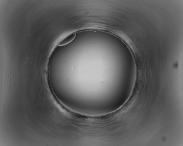 X0000101481379200807141405