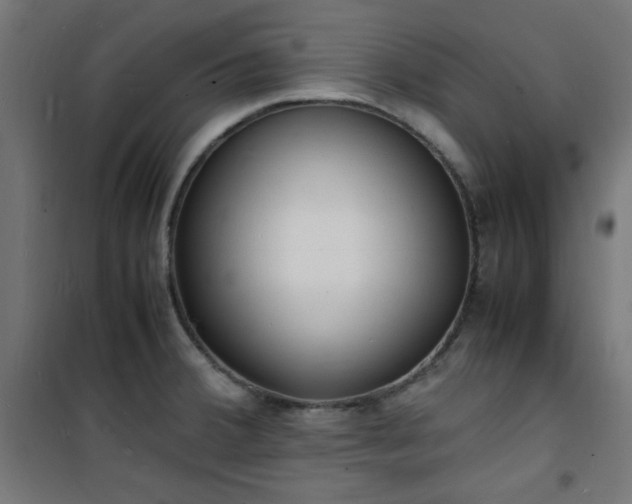X0000101481380200807141405