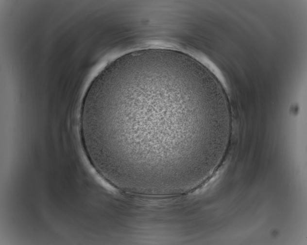 X0000101481381200807141405