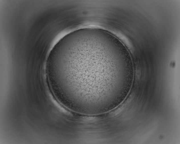 X0000101481382200807141405