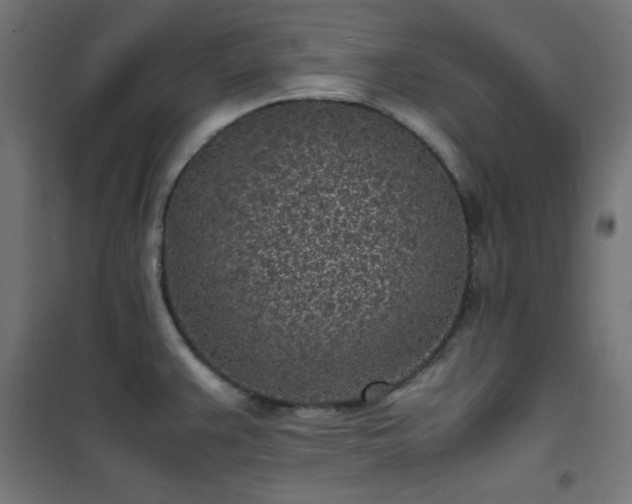 X0000101481383200807141404