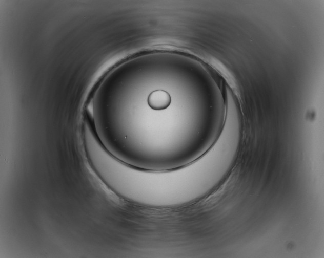 X0000101481384200807141404