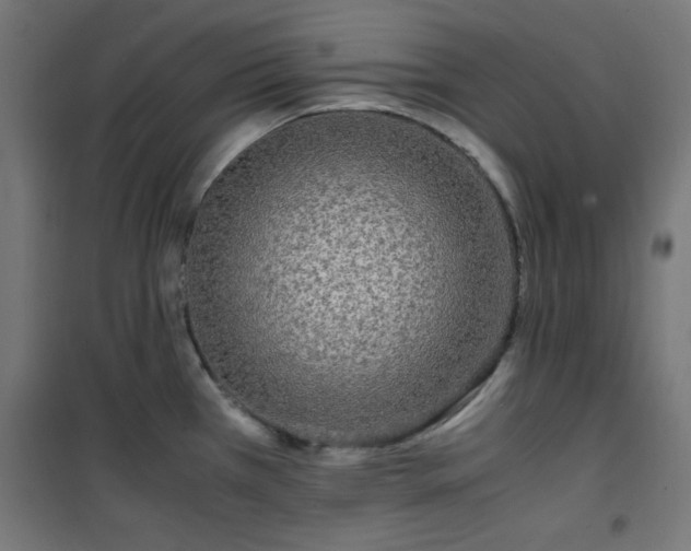 X0000101481385200807141404