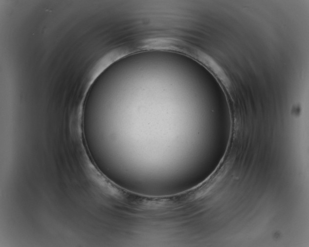 X0000101481386200807141404