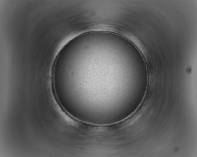 X0000101481387200807141404